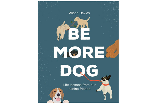 Be More Dog