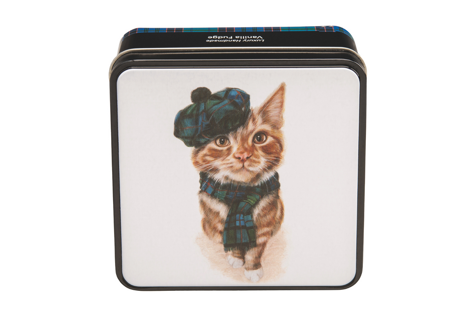 Lana Mathieson Tam O Ginger Cat Gift Tin of Vanilla Fudge xx