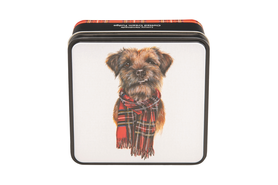 Lana Mathieson Murray the Border Terrier Clotted Cream Fudge Gift Tin xx