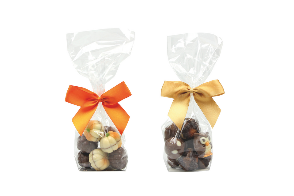 Autumn Mixed Chocolates Gift Bag xx