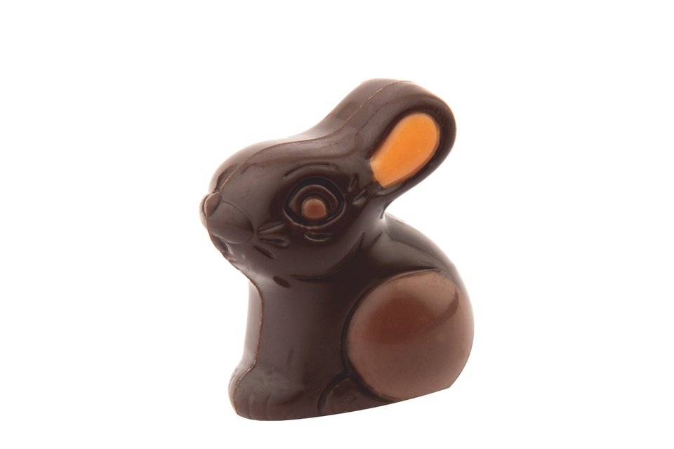 Dark Chocolate Decorated Praline Cookie Rabbit