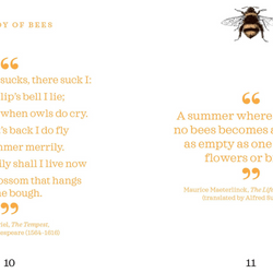 Little Book of Bees