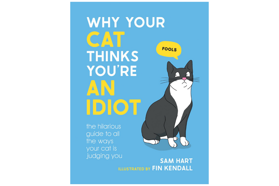 Why Your Cat Thinks You're An Idiot xx