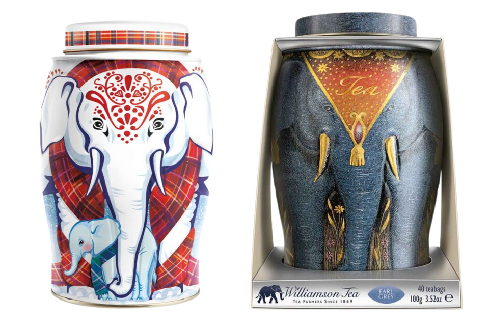 Large Williamson Elephant Tea Caddies (40 Teabags) xx