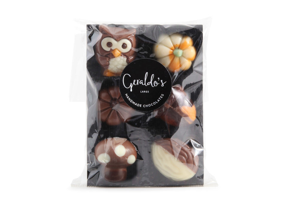 Autumn Chocolate Taster Pack xx